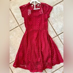 Charming Scarlet Lace Kids Dress